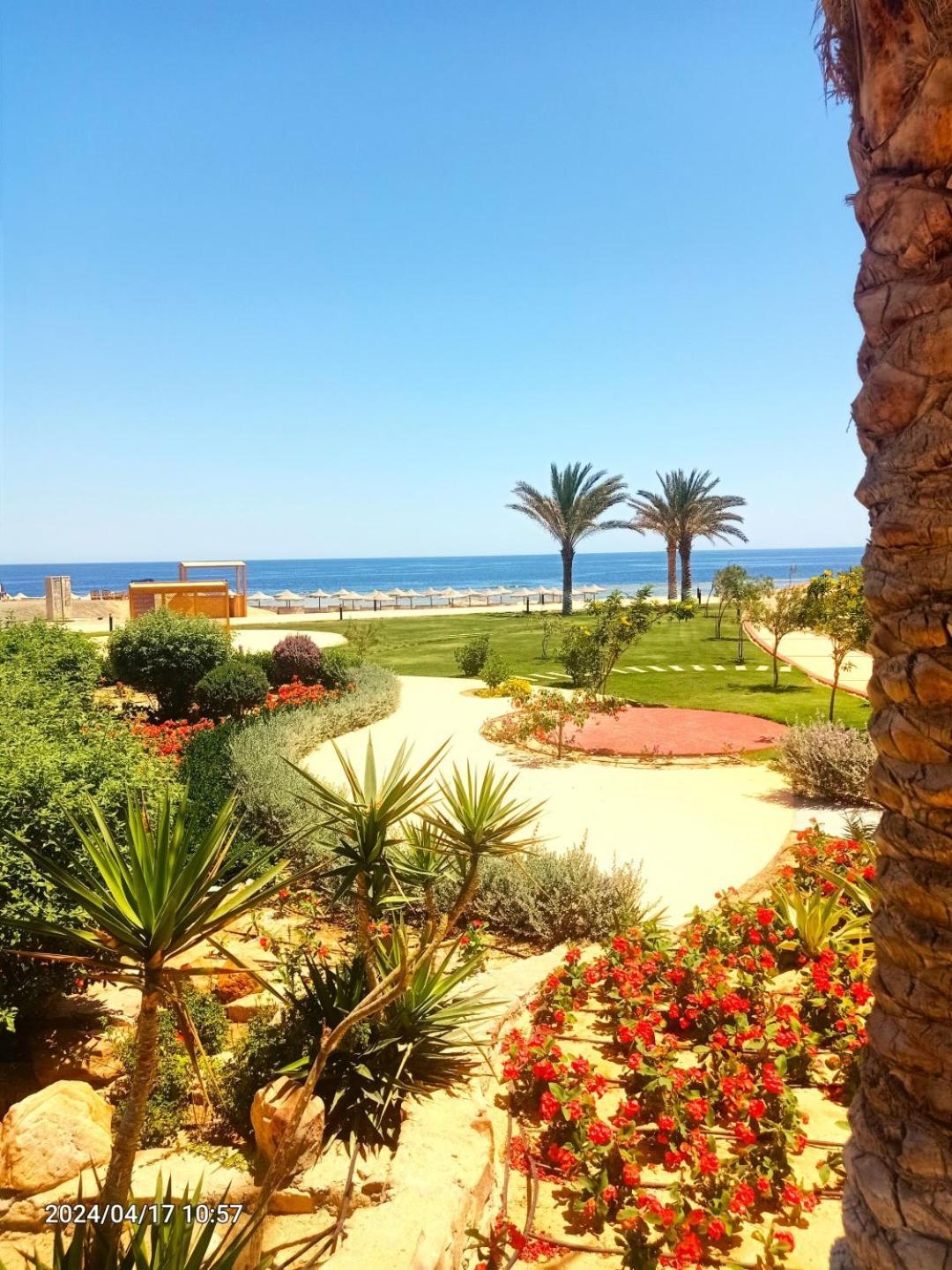 Oyster Bay Beach Resort Abu Dabbab Esterno foto